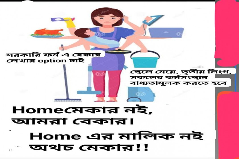 হোমমেকার নই, আমরা বেকার